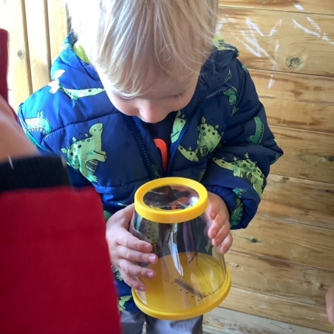 Looking at bugs in a magnifying glass