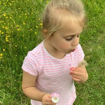 Blowing dandelions