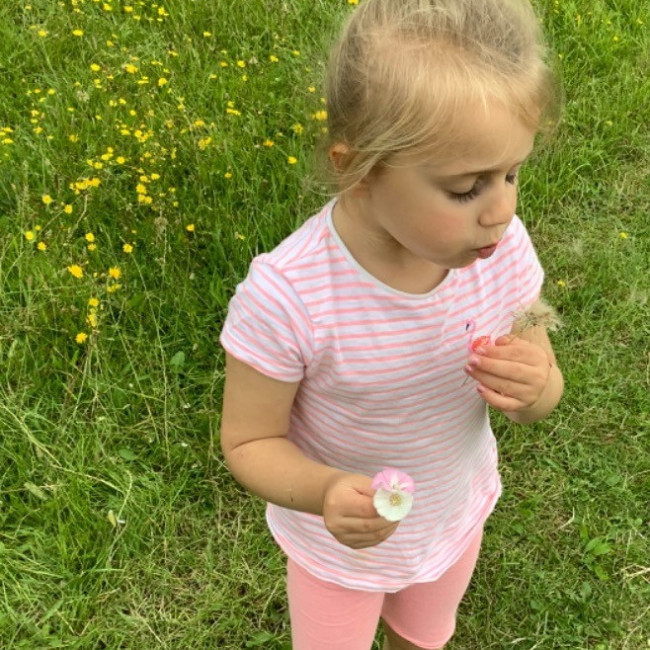 Blowing dandelions