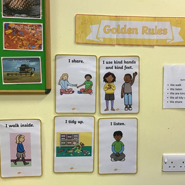 The Golden Rules of Springfield Bees