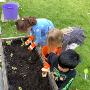 Children gardening