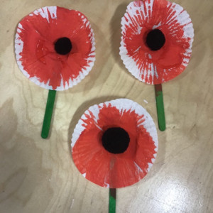 Poppies