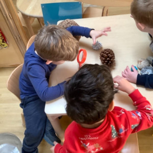 Children looking at bugs