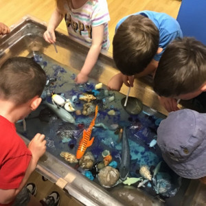 Children looking at toy sharks