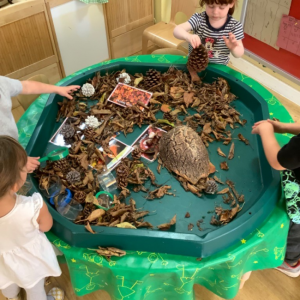 Looking in the green tray at the bugs