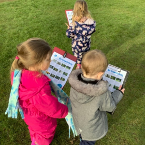 Birdwatching