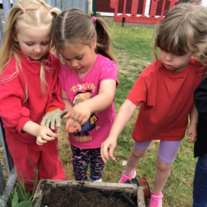 Children's Gardening 