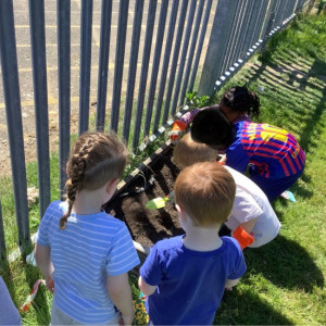 Children looking at plants