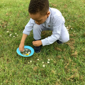 A child picking daisies. 