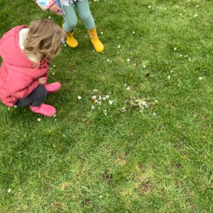 Children looking at wildlife