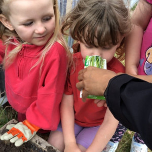 Children's Gardening 