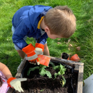 Children gardening