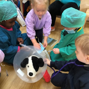 Learning about vets