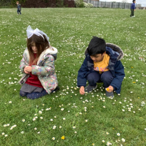 Children picking daisy's