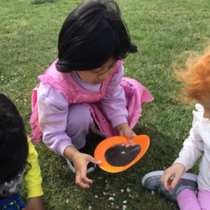 Children picking daisies. 