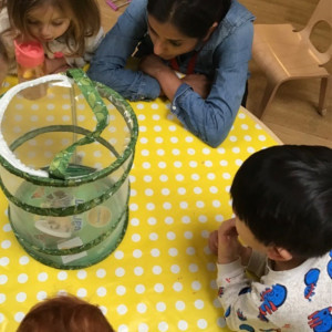Children looking at wildlife