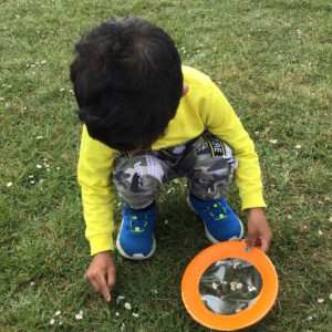 Child picking daisies. 