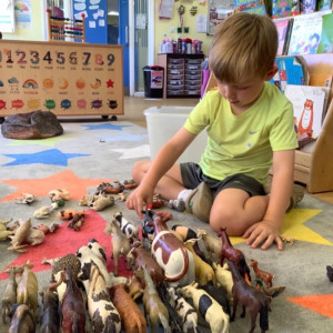A child playing with farm animals. 