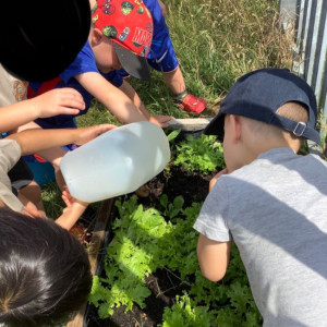 Children watering plants