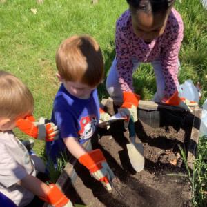 Children looking at plants