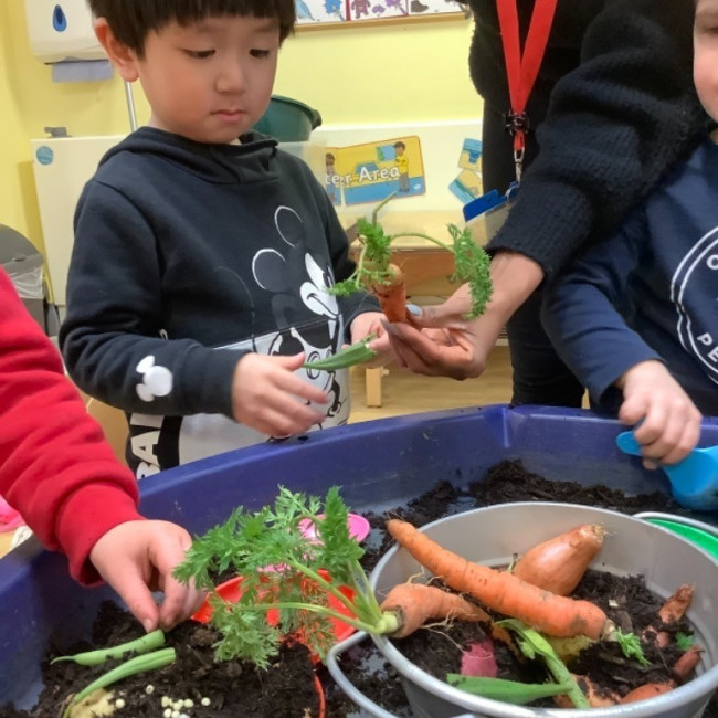 Children looking at vegtables 