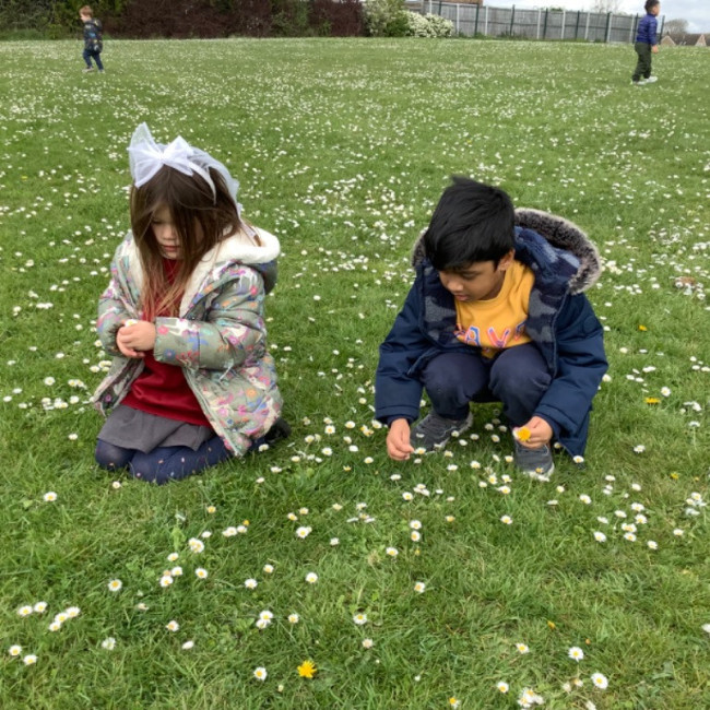 Children picking daisy's