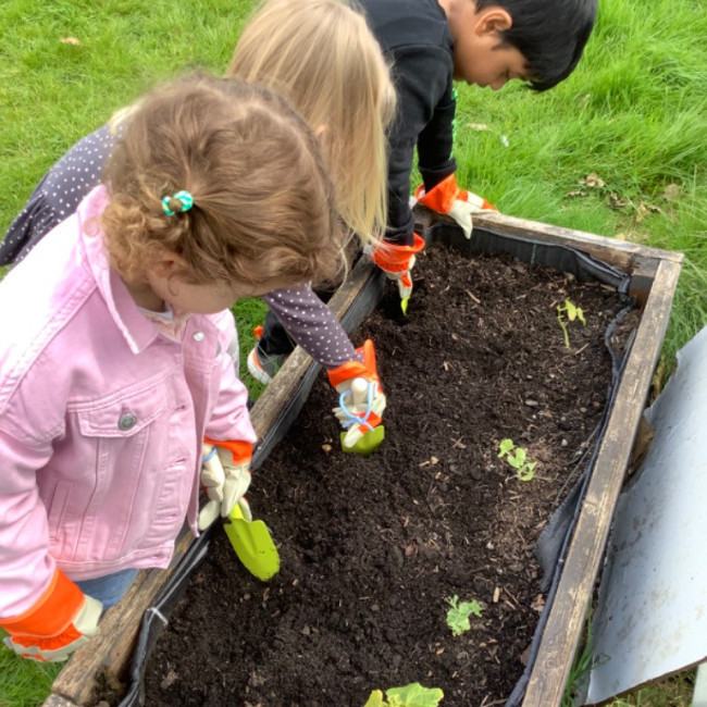 Children gardening