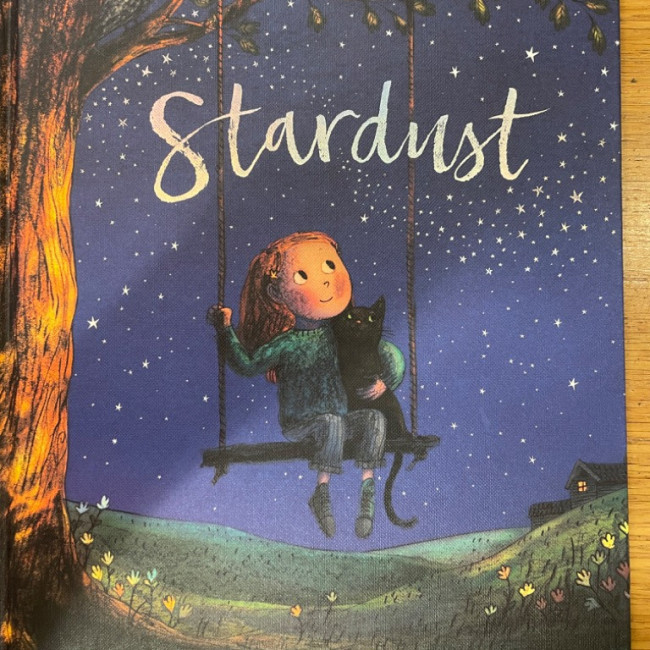 Stardust book cover
