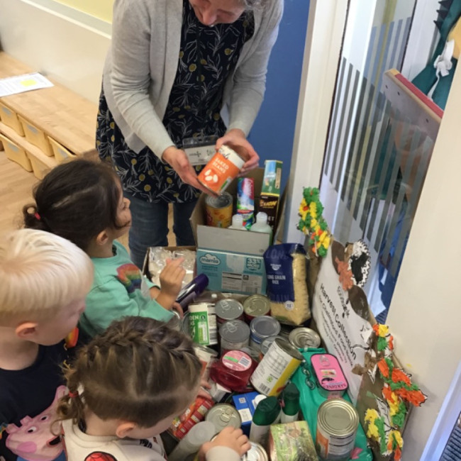 Looking at the harvest collection