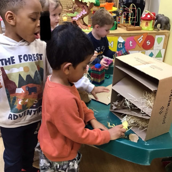 Children making a bug hotel. 
