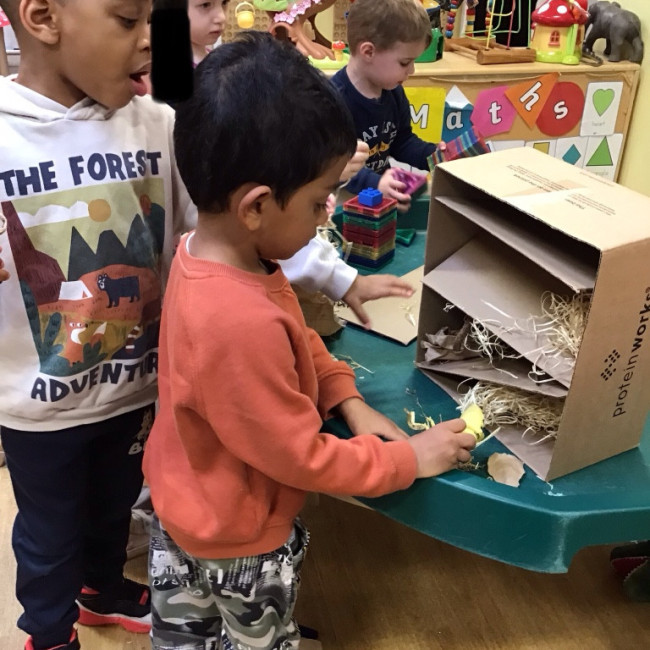 Children with a bug hotel 