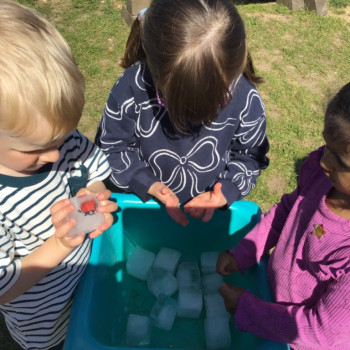 Children looking at ice cubes. 