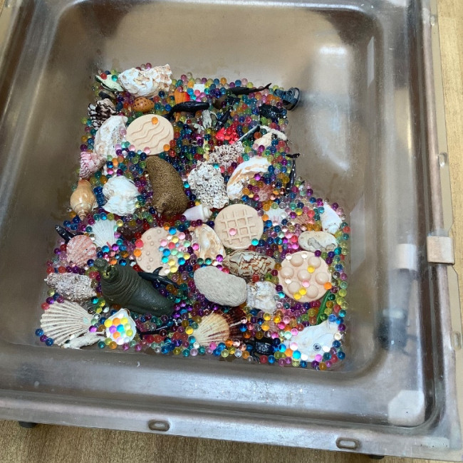 A selection of tactile objects. 